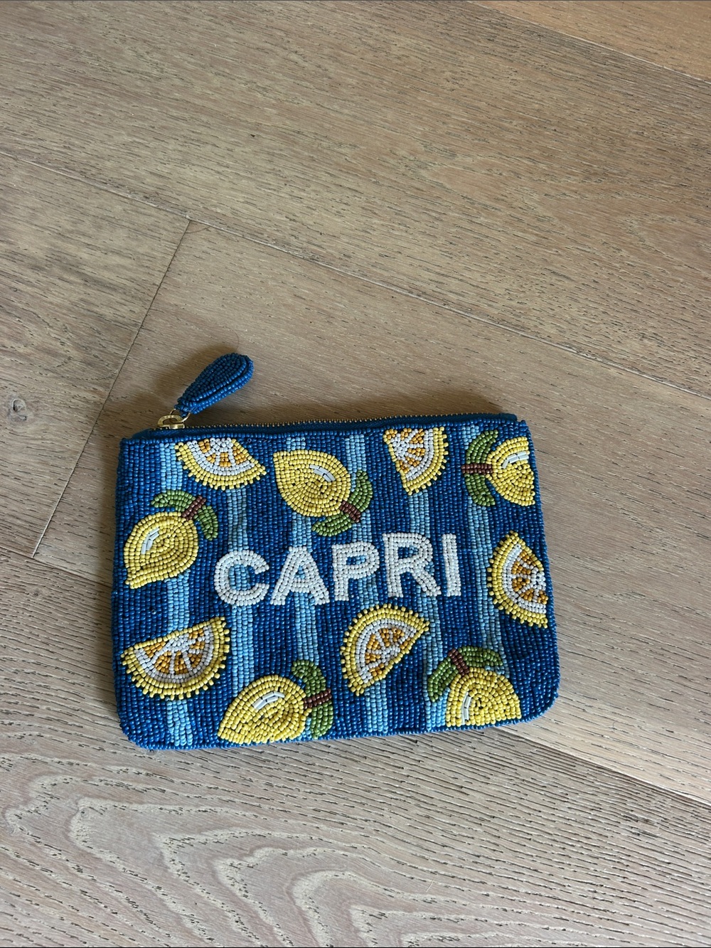 Anthropologie Blue Beaded Zip Pouch with Gold Trim